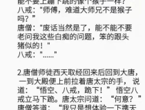 搞笑段子文案剧本,搞笑段子文案剧本的魅力与创作技巧