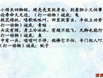 谜语动物类,探寻自然奥秘的智慧游戏