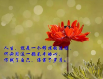 生活感悟经典句子,生活感悟经典句子的智慧之光