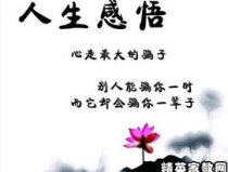 感悟人生的经典句子,感悟经典句子的智慧之光